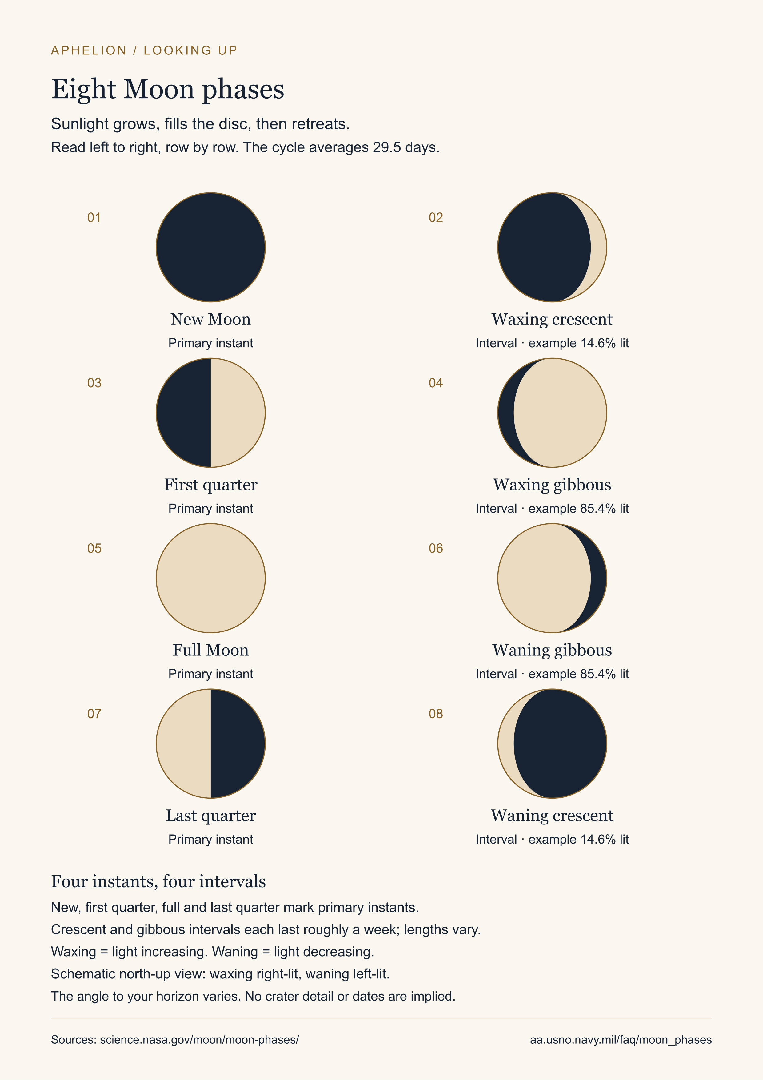 Eight labelled Moon phases in numbered order with computed spherical illumination: new, waxing crescent, first quarter, waxing gibbous, full, waning gibbous, last quarter and waning crescent.