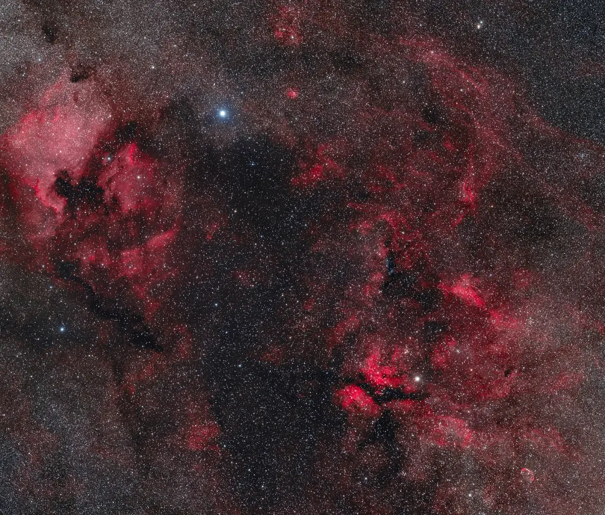 Dense star fields with red glowing clouds of hydrogen in the Milky Way around the star Deneb.