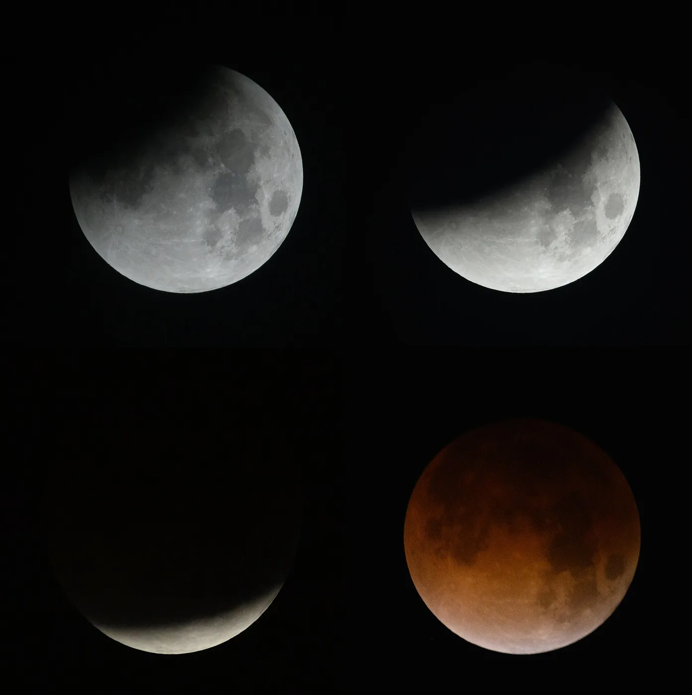 Four views of the Moon during a lunar eclipse, the last one dark red.