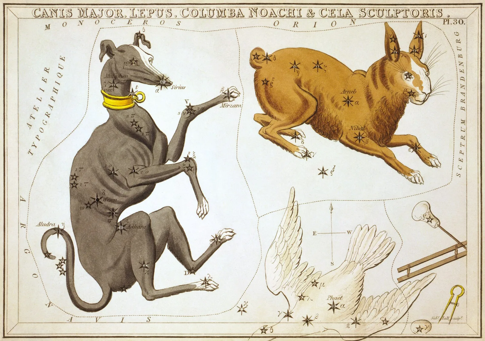 An 1820s star card showing Canis Major as a dog with a gold collar, a hare and a dove beside it.