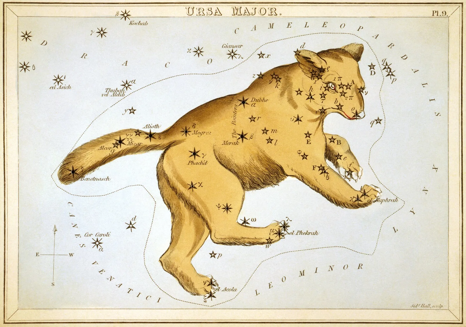 An 1820s star card showing the Great Bear, with the seven Plough stars along its back and tail.